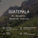 Guatemala, El Sendero, Renardo Ovalle