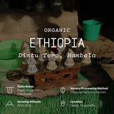 Ethiopia, Dimtu Tero, Hambela
